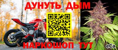 гидропоника Шебекино