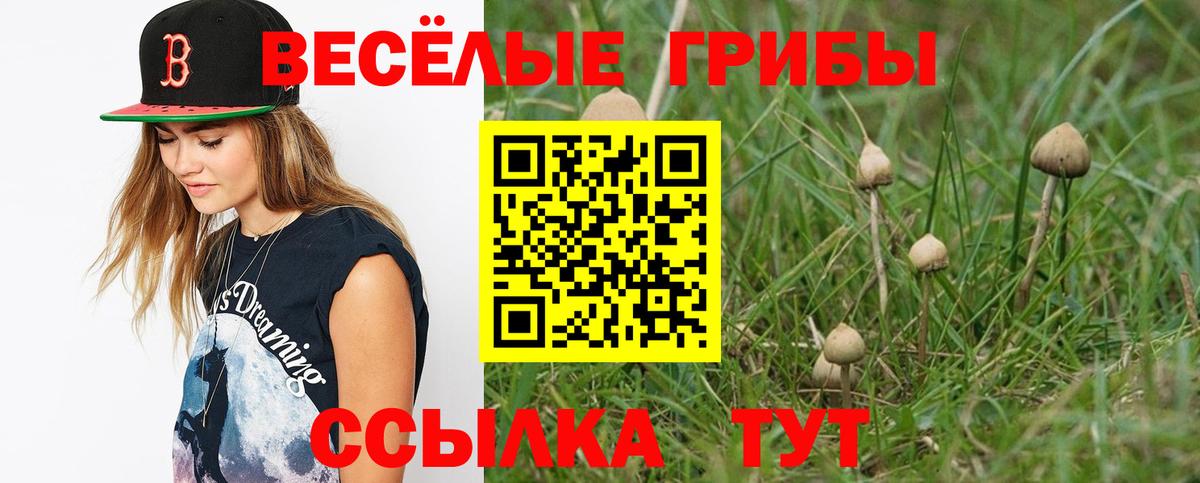 Псилоцибиновые грибы ЛСД Краснознаменск