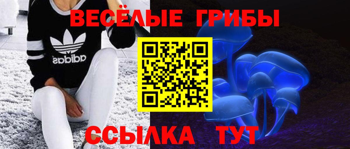 Псилоцибиновые грибы прущие грибы  Вход с VPN  купить наркоту  Галлюциногенные грибы Psilocybe  Краснознаменск 